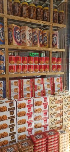 عکس زیتون حاج مهدی