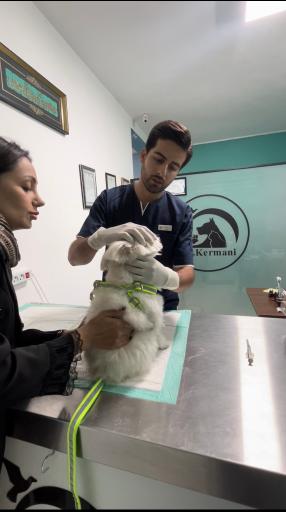 عکس کلینیک دامپزشکی دکتر کرمانی