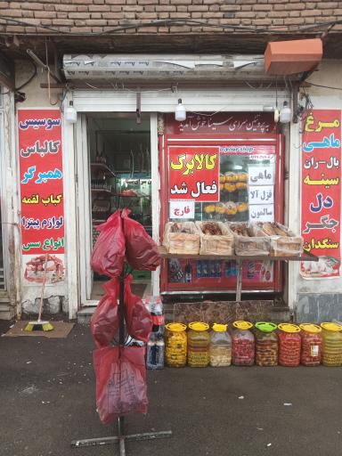 عکس پروتئین سینا