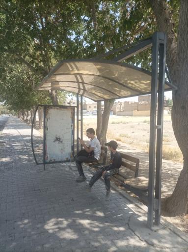 عکس بنفشه