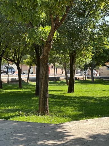 عکس پارک نماز