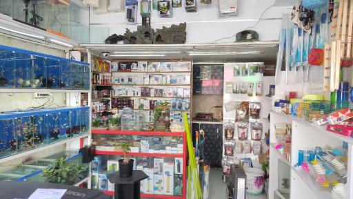 عکس آکواریوم تهران گلدفیش