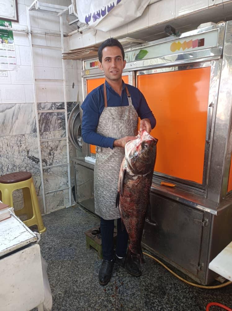 عکس پروتئینی آشنا