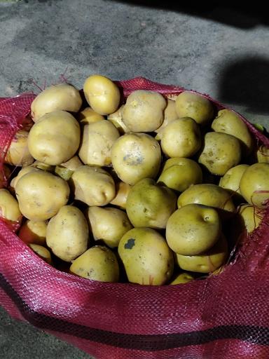 عکس بارفروشی رضا صفایی