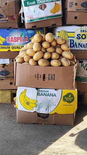 عکس بارفروشی رضا صفایی