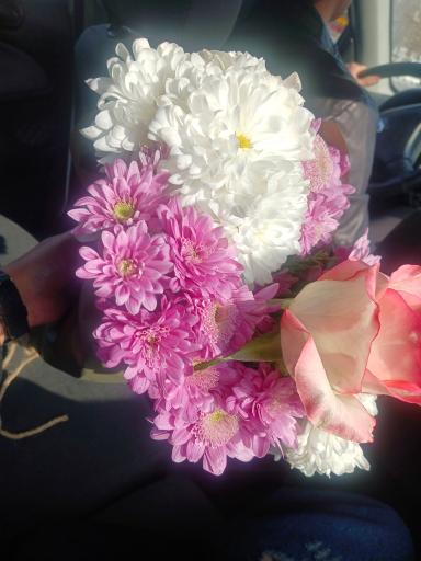 عکس گلسرای شکوفه
