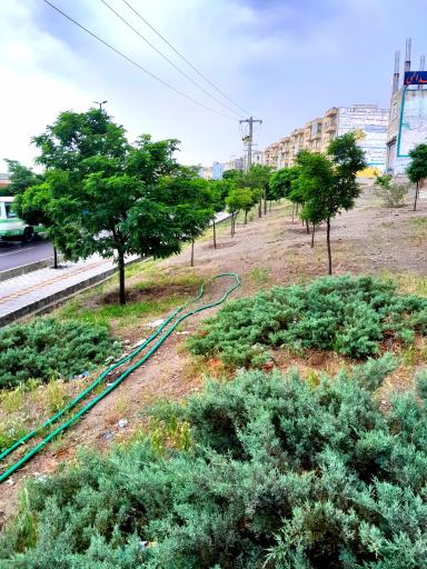 عکس پارک طولی