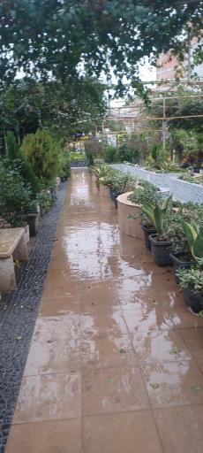 عکس باغ و مزرعه گل شهرداری