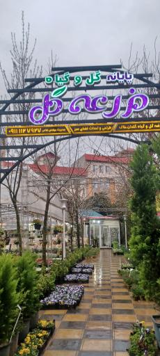 عکس باغ و مزرعه گل شهرداری