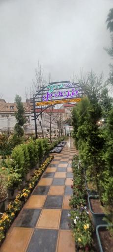 عکس باغ و مزرعه گل شهرداری