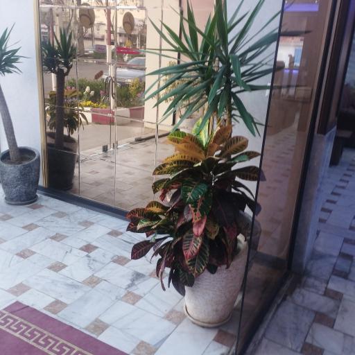 عکس رستوران جهانگردی