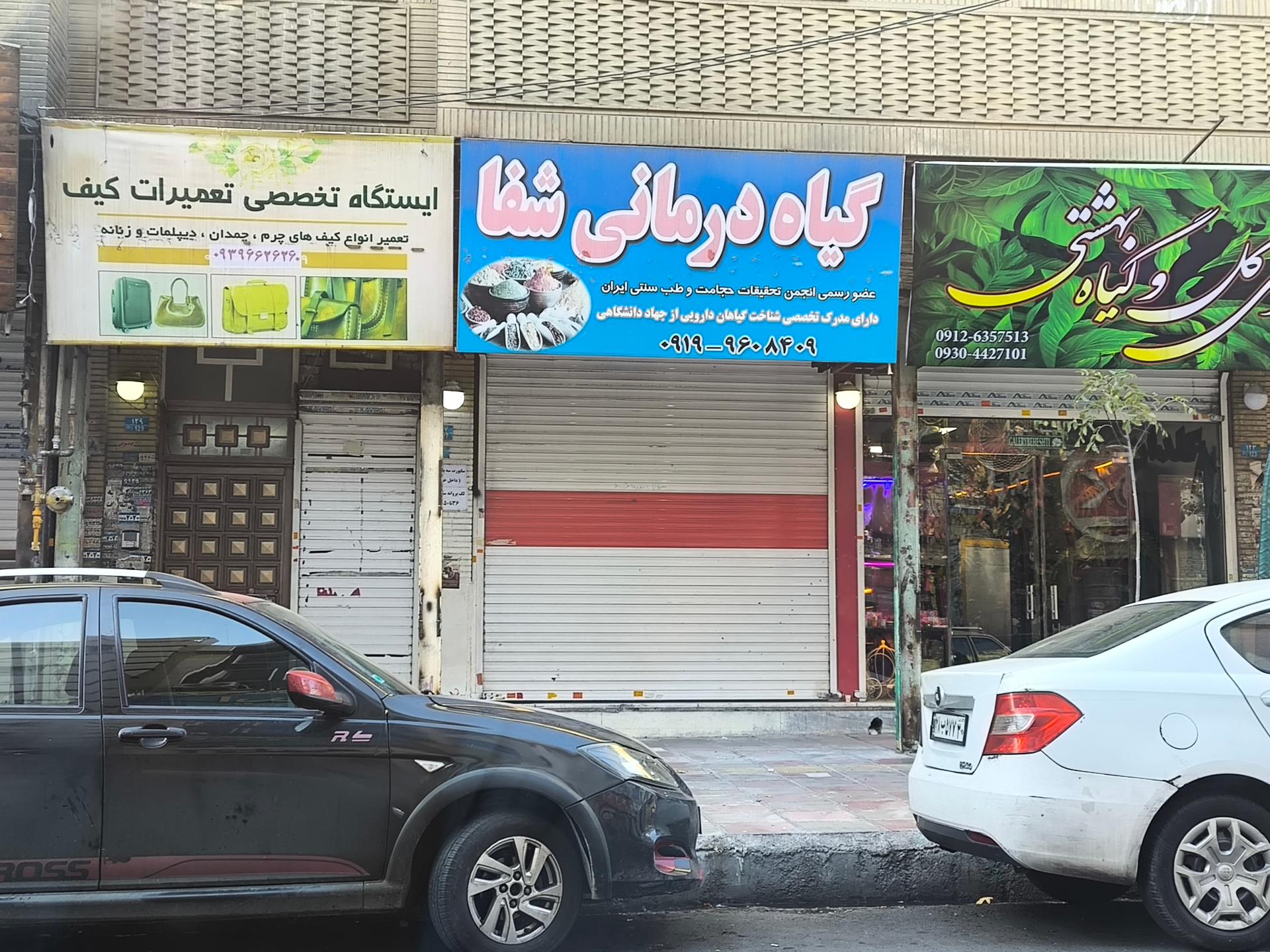 عکس گیاه درمانی شفا