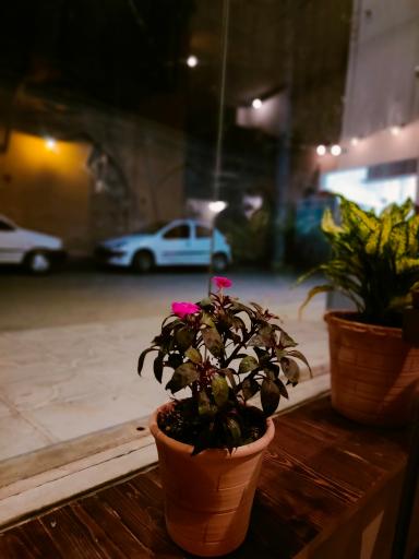 عکس کافه کوچه