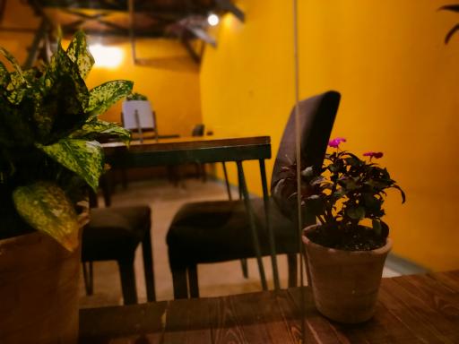 عکس کافه کوچه