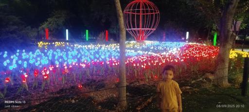 عکس پارک نوری