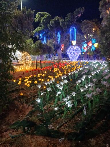 عکس پارک نوری