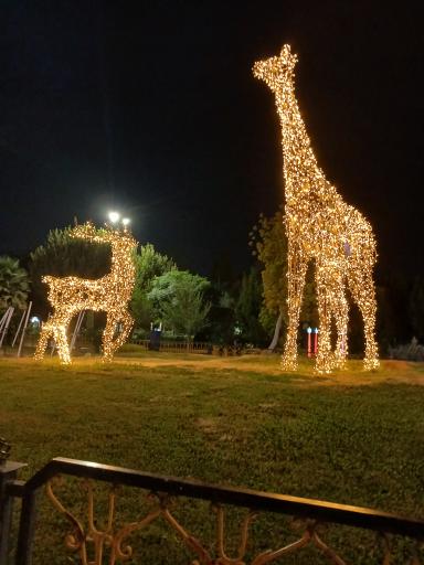 عکس پارک نوری