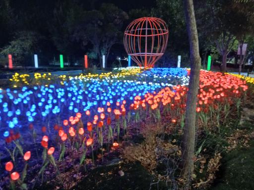 عکس پارک نوری