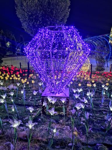 عکس پارک نوری