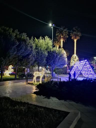 عکس پارک نوری