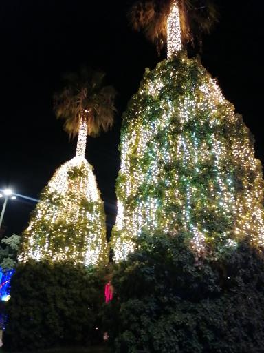 عکس پارک نوری