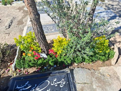عکس مزار سید محمد یعقوبی