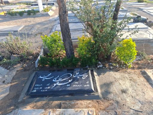 آرامگاه سید محمد یعقوبی