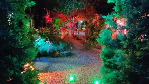 عکس کافه باغ الاچیق خانوادگی گیلاس