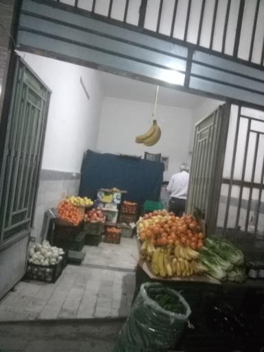 عکس میوه فروشی هامون کشتگر