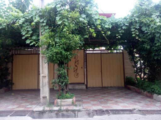 عکس سوئیت تازیکه