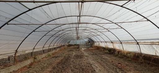 عکس گلخانه ریاحی