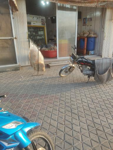 عکس لبنیاتی 