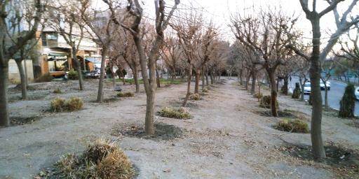 عکس شهرک جهان نما