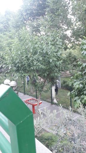 عکس بوستان نصر