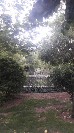 عکس بوستان نصر