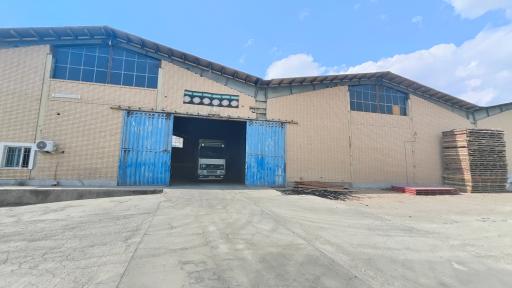 عکس رهام چوب پیشگامان افق