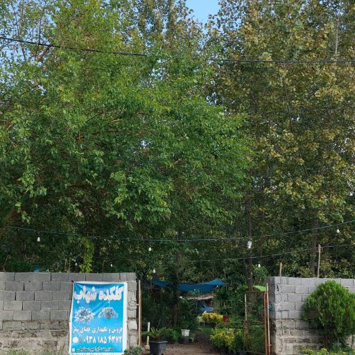 عکس گلکلده شهاب