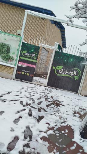 عکس الوسبزی
