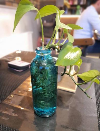 عکس کافی شاپ CC