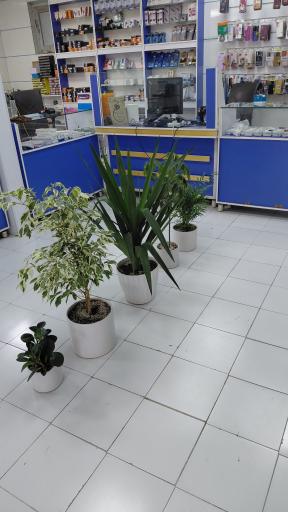 عکس مرکز موبایل ناصری