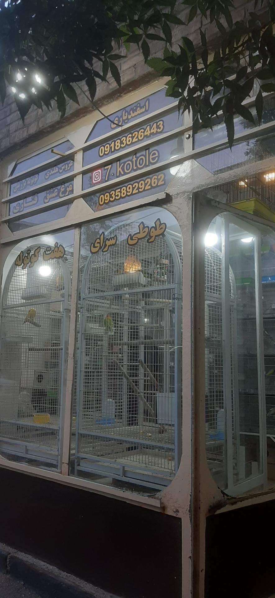 عکس پرنده فروشی هفت کوتوله