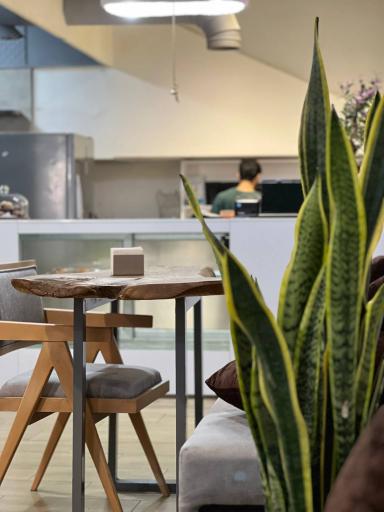 عکس کافه ول هوس