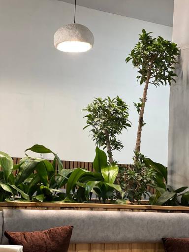 عکس کافه ول هوس