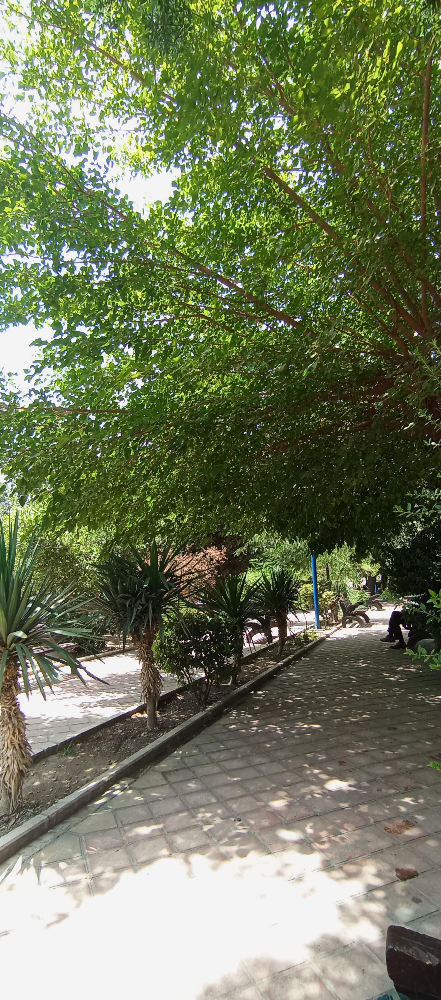 عکس بوستان گلزار