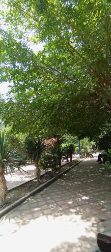 عکس بوستان گلزار