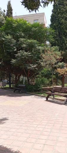 عکس بوستان گلزار