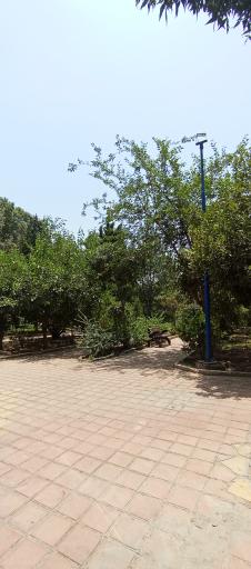 عکس بوستان گلزار