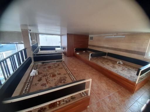 عکس کبابی دایی حمید شعبه ۳ 