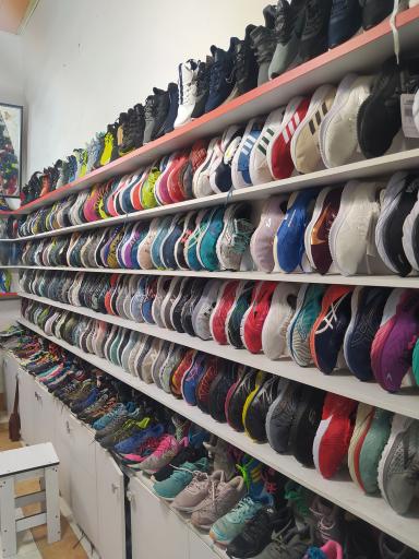 عکس تاناکورا گرگان