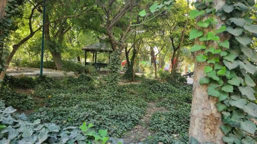 عکس بوستان گلزار